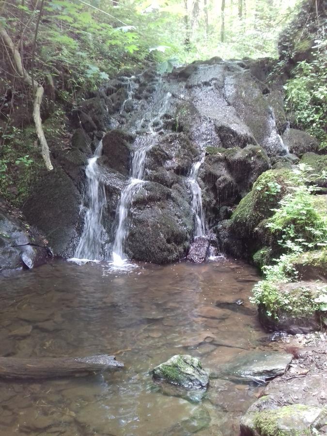 Gaestehaus Viktoria Bad Bertrich Luaran gambar